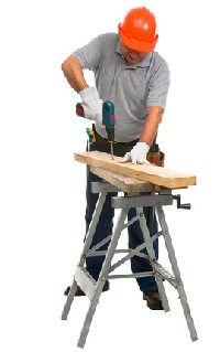 carpintero cabezo de torres